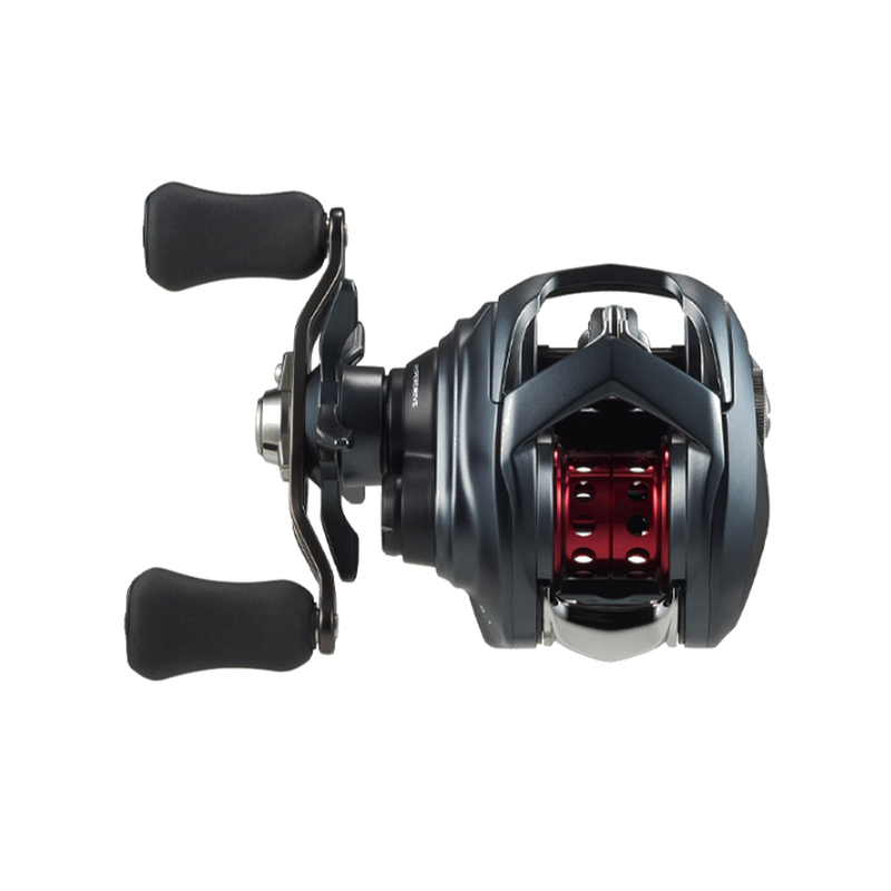DAIWA 2026 TATULA BF TW 8.1L Modelo Canhoto
