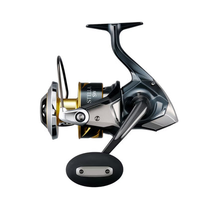 SHIMANO 2025 STELLA SW 8000PG